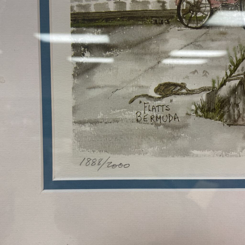 "Flatts Bermuda" by Sue Quarles, framed print