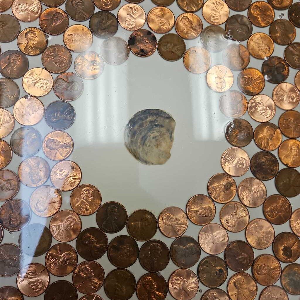 Unique Custom Side Table - Pennies and Shell w/Resin Finish