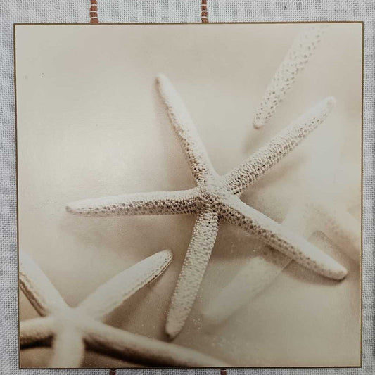 Coastal Wood Wall Art - Set of 2