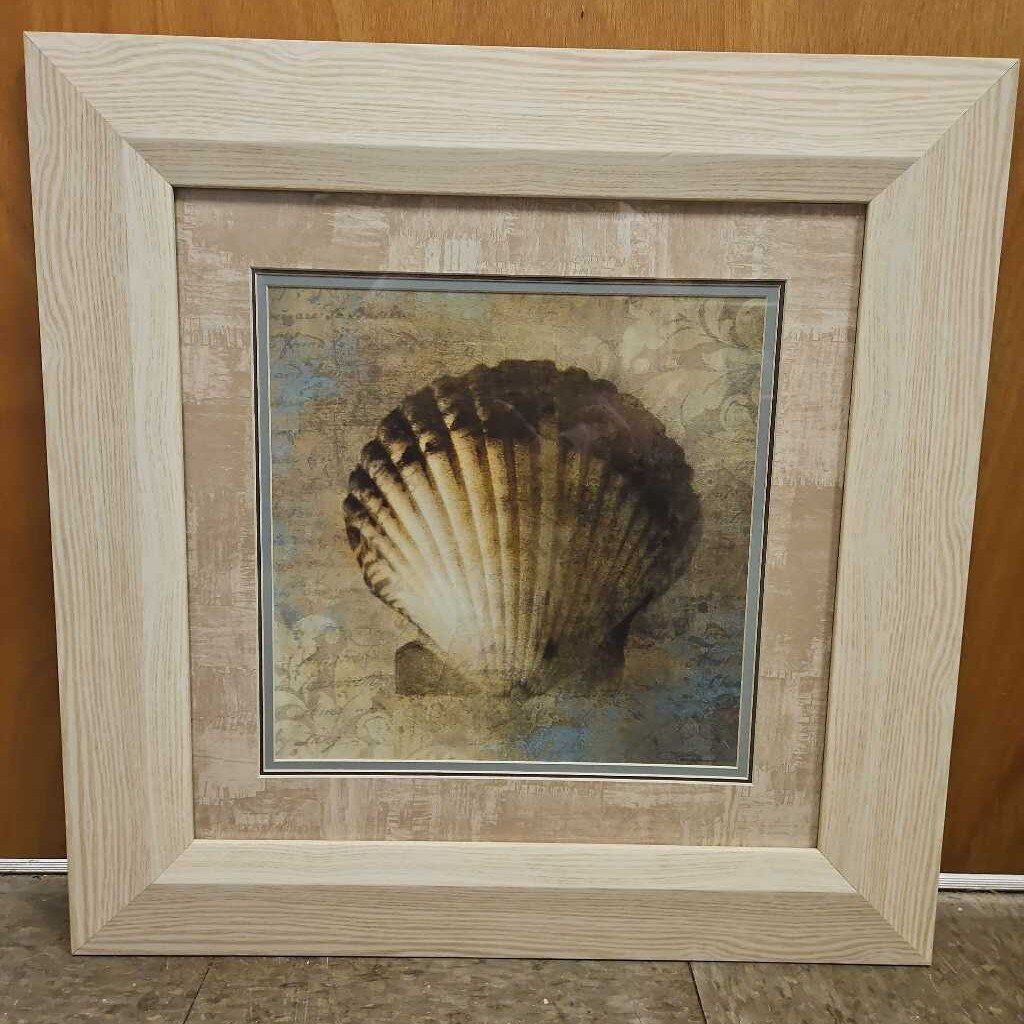 Coastal Seashell Print in Wood Frame