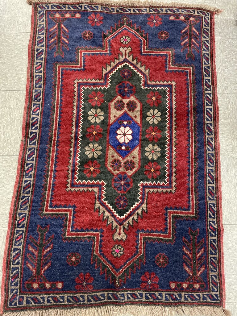 Baluch Hand Knotted Area Rug