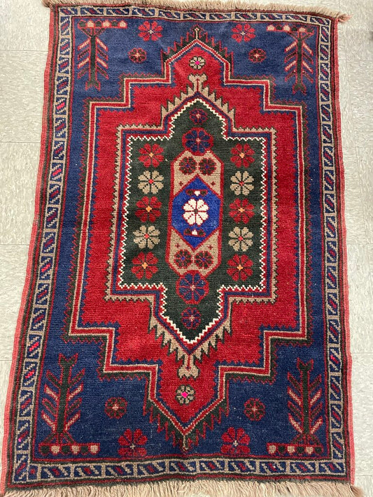 Baluch Hand Knotted Area Rug