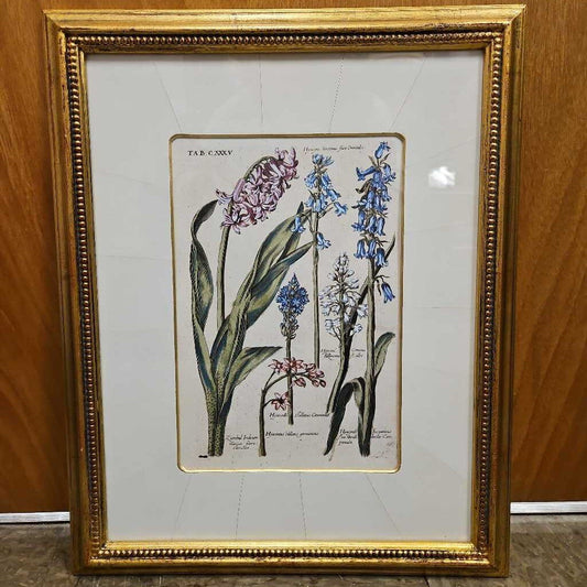 Historical Botanicals Print TAB CXXXV