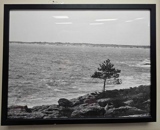 Prouts Neck Black & White Photo Print #1