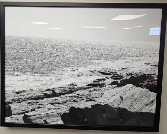 Prouts Neck Black & White Photo Print #4