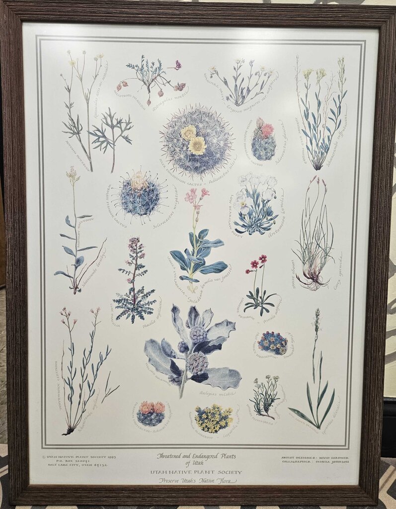 Threatened and Endangered Plants of Utah Print