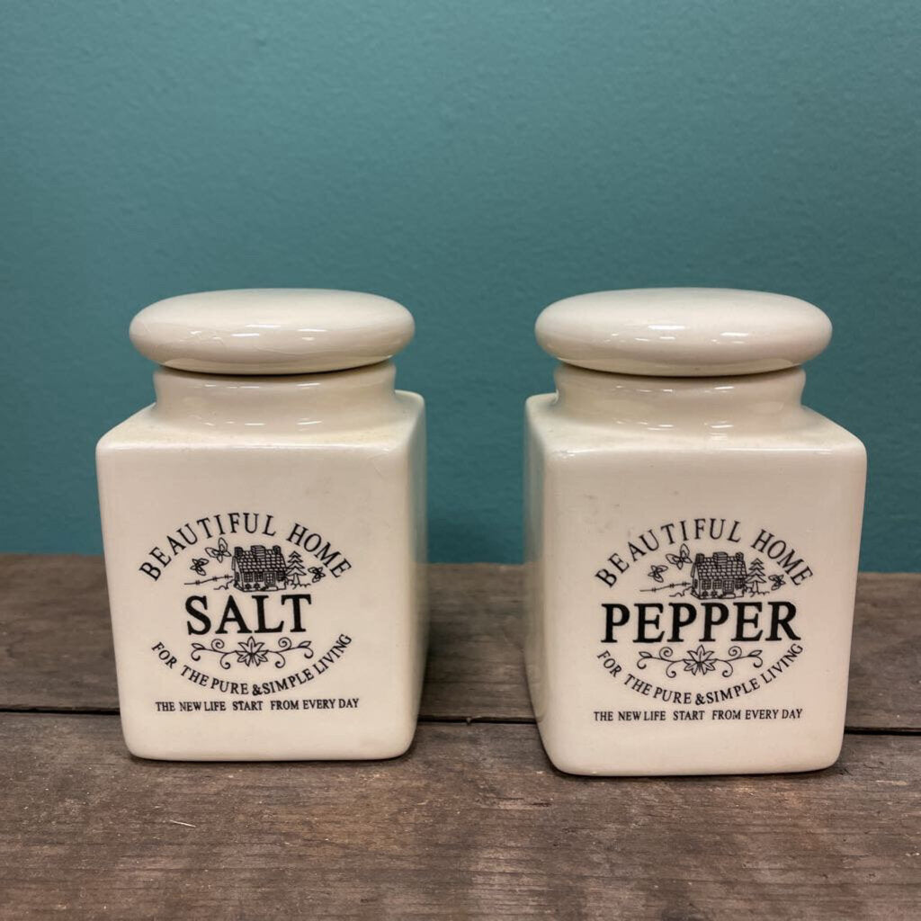 Beautiful Home Salt and Pepper Shakers