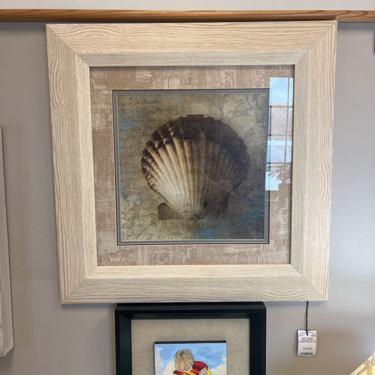 Coastal Seashell Print in Wood Frame
