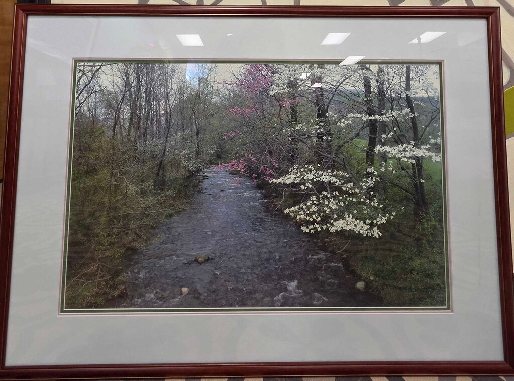 "Spring Woods by the River" Print - Unknown Artist