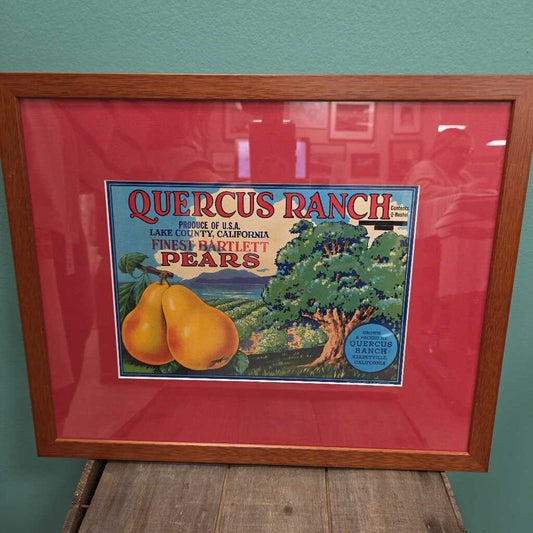 Quercus Ranch Pears Advertisement Framed Print