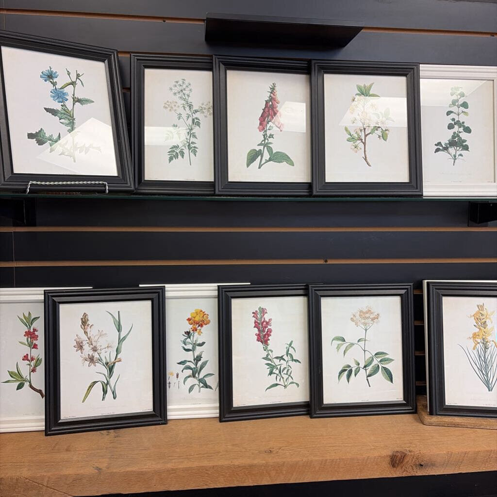 Framed Flora Print