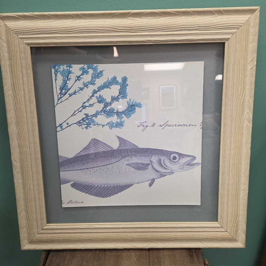 Pollack Fish in Seagrass Framed Print