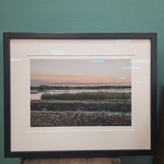 "Winter Sunrise" - Bosque del Apache National Wildlife Reserve, New Mexico by Brad Perzley
