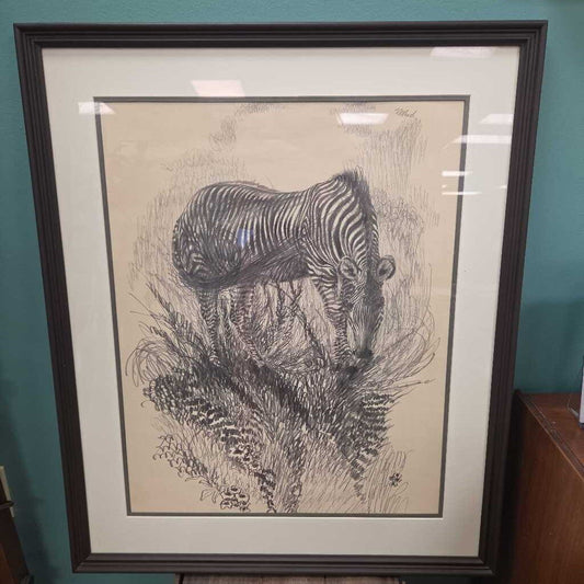 "Zebra" - Original Pencil Drawing by Unknown