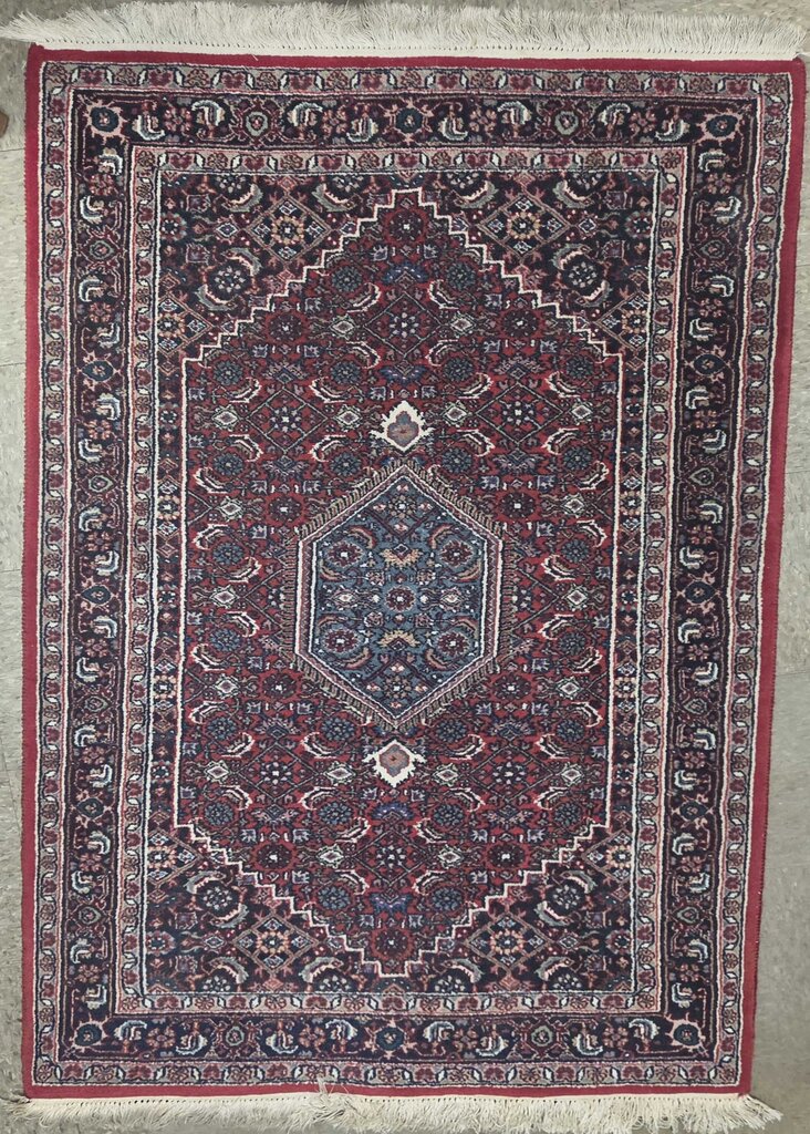 Hand Knotted Persian Rug with Fringe