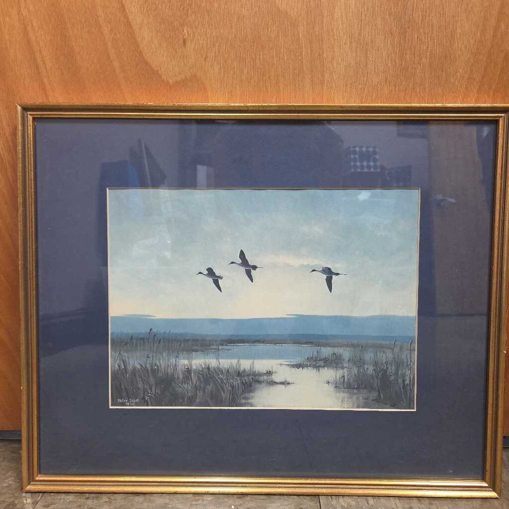 "Three Pintails at Dusk" Print by Peter Scott
