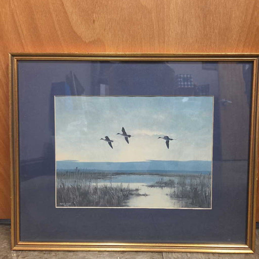 "Three Pintails at Dusk" Print by Peter Scott