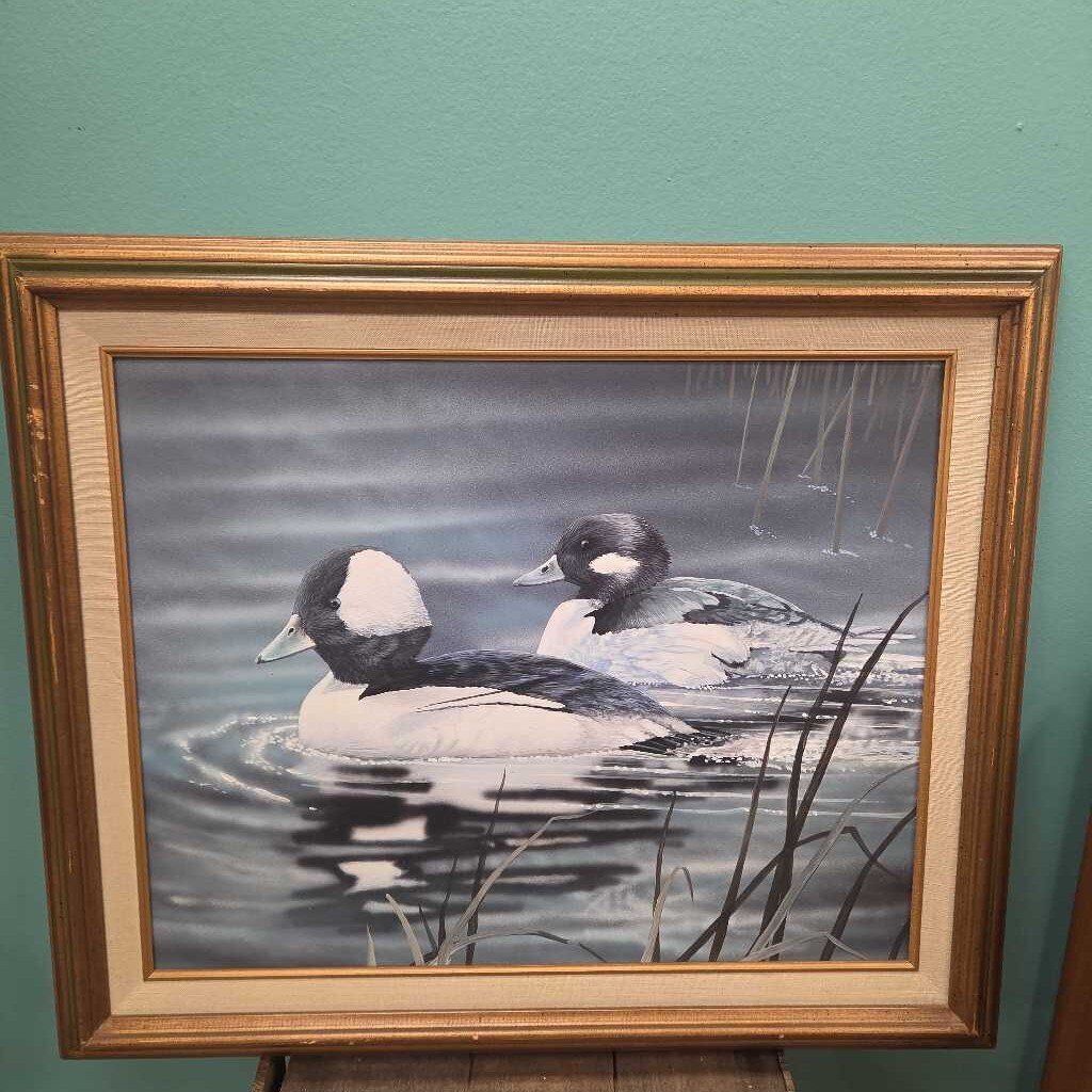Mixed Media Bufflehead Ducks, Framed