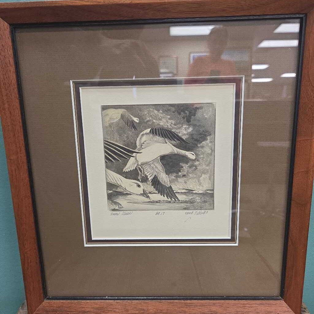 "Snow Geese" Original Etching on Paper - Signed