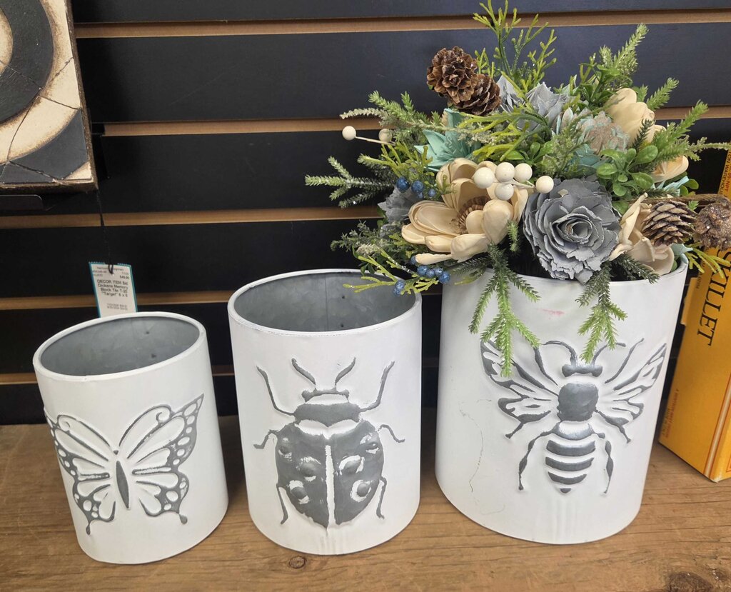 Brushed Metal Insect Pot - Set of 3