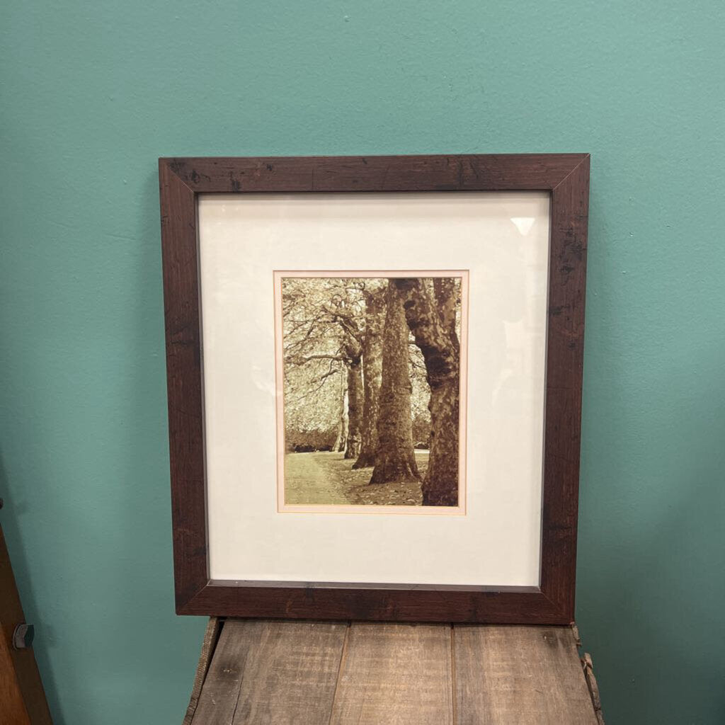 Matted Wood Framed Still Life Tree Photograph