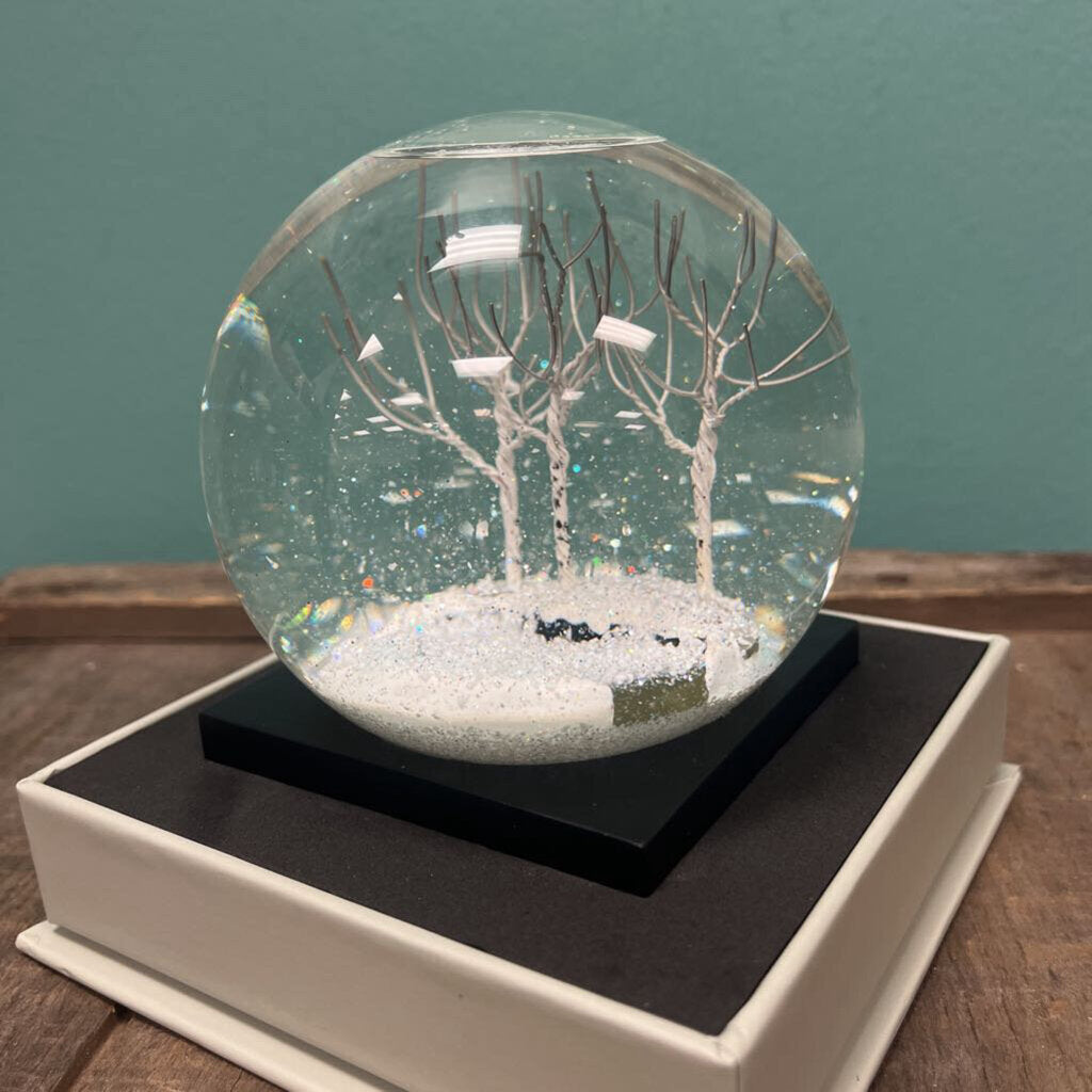 Cool Snow Globe Winter